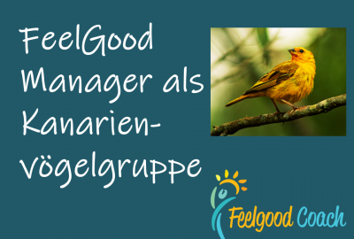 FeelGood Coach Regina Walter-Sangl Kanarienvogel